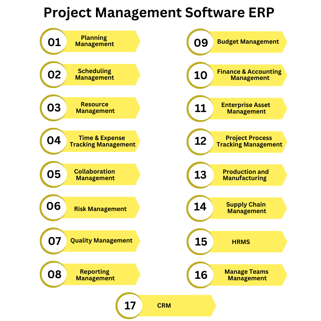 ERP project management software
